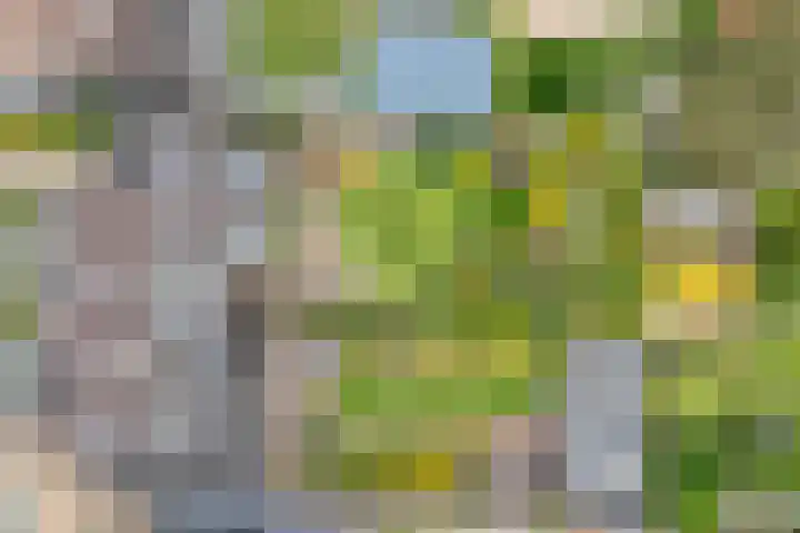 de Havekamp 40 Luttenberg thumbnail 4