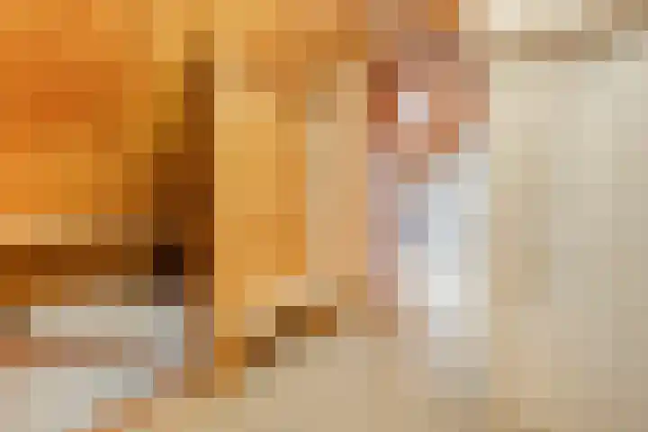 de Havekamp 40 Luttenberg thumbnail 41