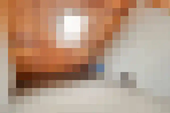de Havekamp 40 Luttenberg thumbnail 43