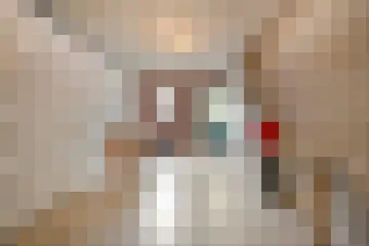 de Havekamp 40 Luttenberg thumbnail 46