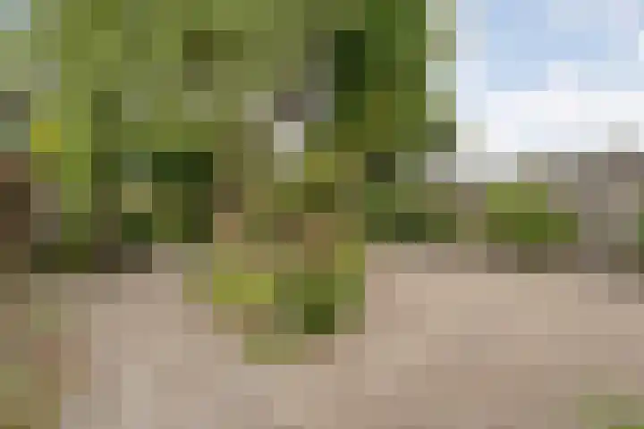 de Havekamp 40 Luttenberg thumbnail 47