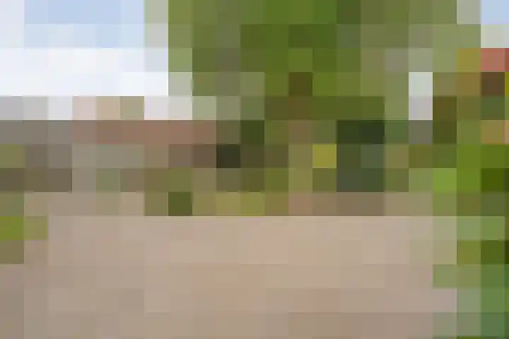 de Havekamp 40 Luttenberg thumbnail 48