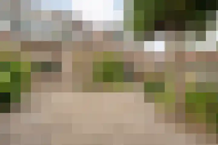 de Havekamp 40 Luttenberg thumbnail 49