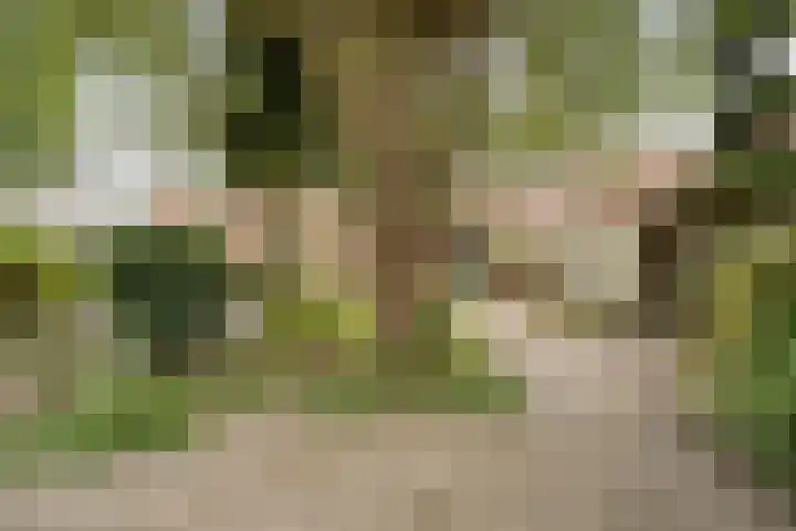 de Havekamp 40 Luttenberg thumbnail 50