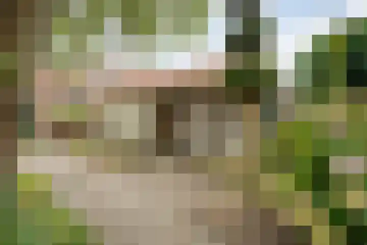 de Havekamp 40 Luttenberg thumbnail 51