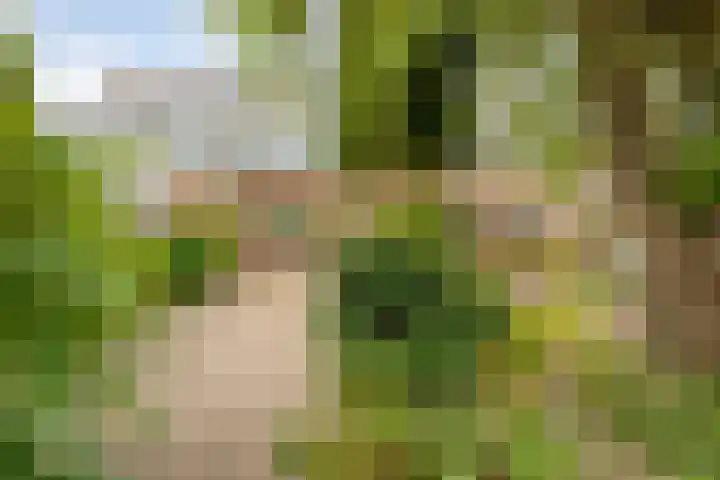 de Havekamp 40 Luttenberg thumbnail 52