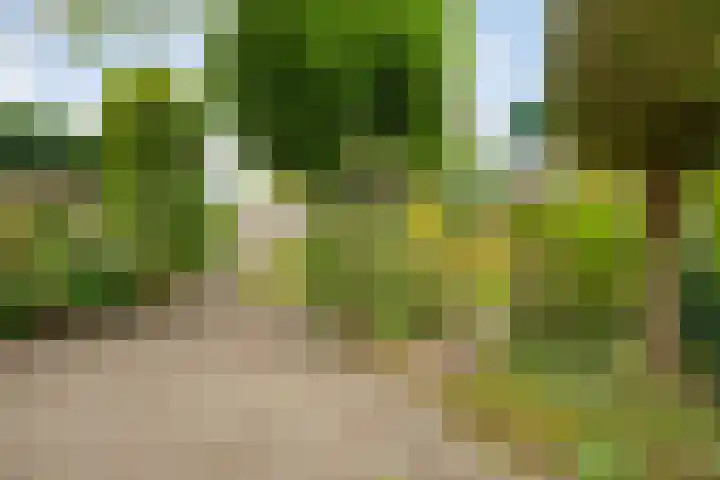 de Havekamp 40 Luttenberg thumbnail 53