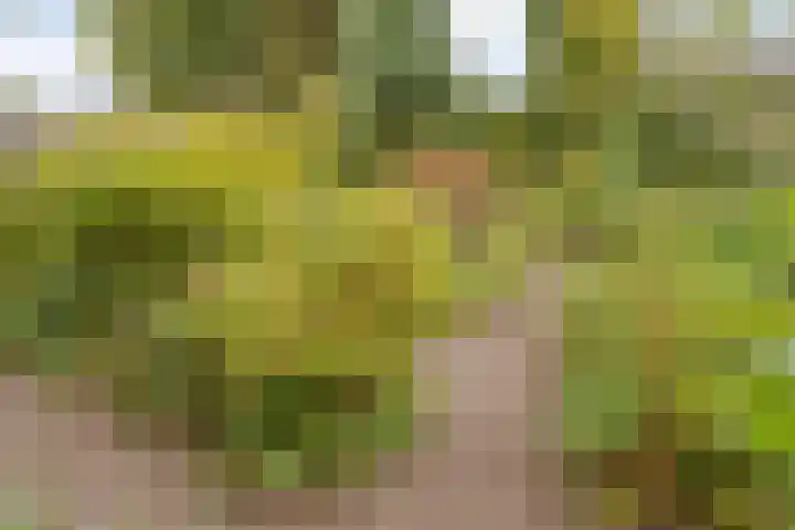 de Havekamp 40 Luttenberg thumbnail 54