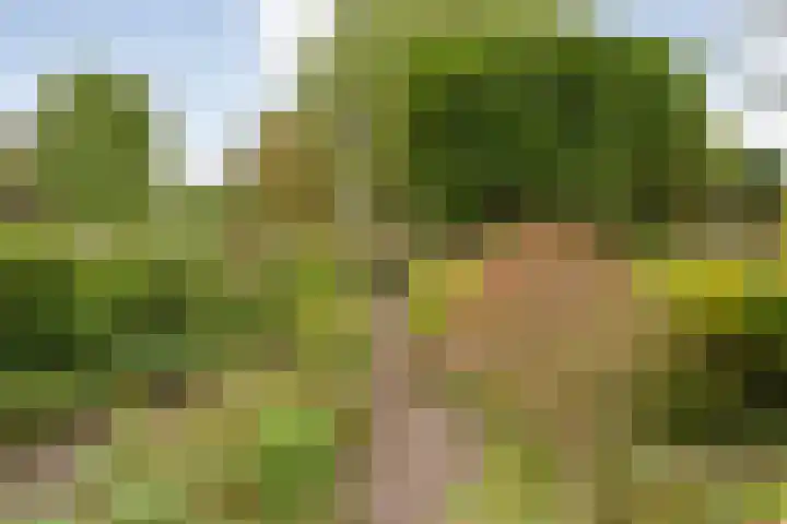 de Havekamp 40 Luttenberg thumbnail 55