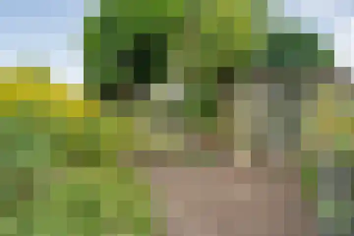 de Havekamp 40 Luttenberg thumbnail 56