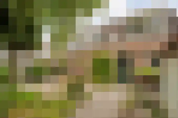 de Havekamp 40 Luttenberg thumbnail 57