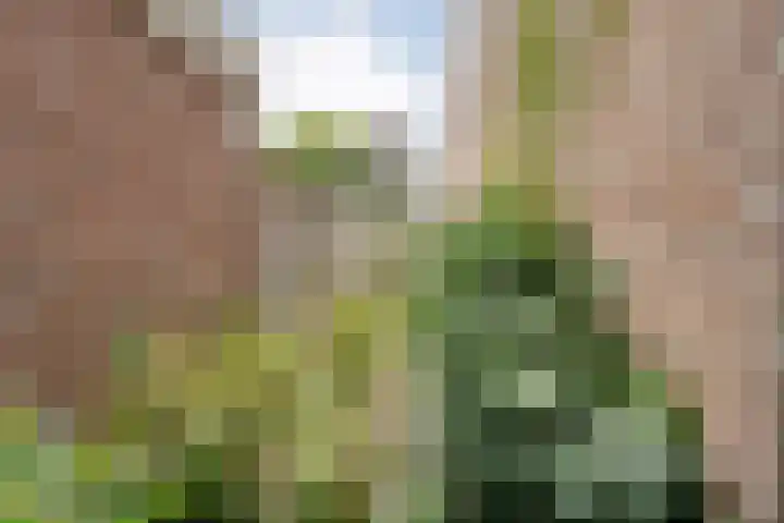 de Havekamp 40 Luttenberg thumbnail 58