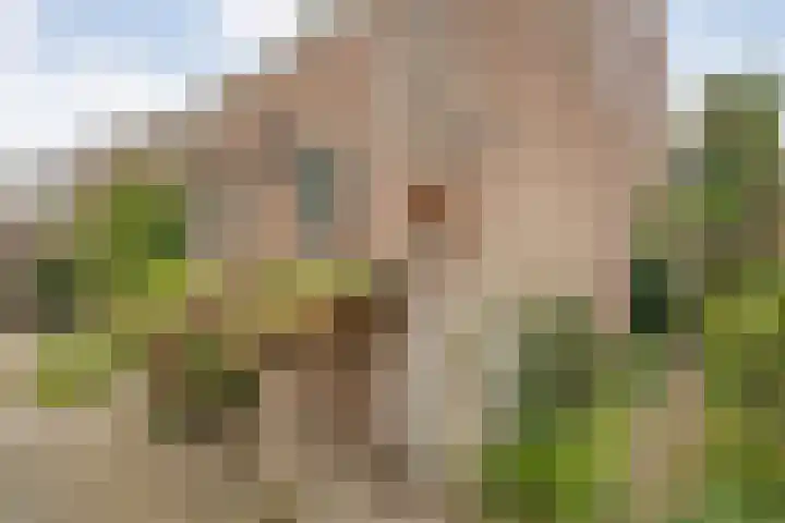 de Havekamp 40 Luttenberg thumbnail 59