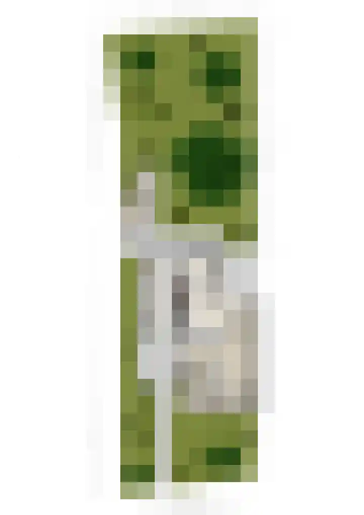 de Havekamp 40 Luttenberg thumbnail 65