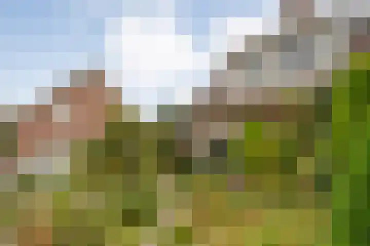 de Havekamp 40 Luttenberg thumbnail 7