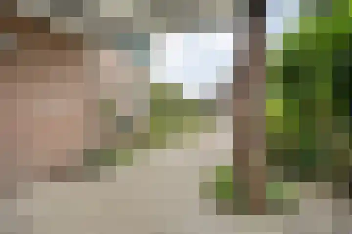de Havekamp 40 Luttenberg thumbnail 9