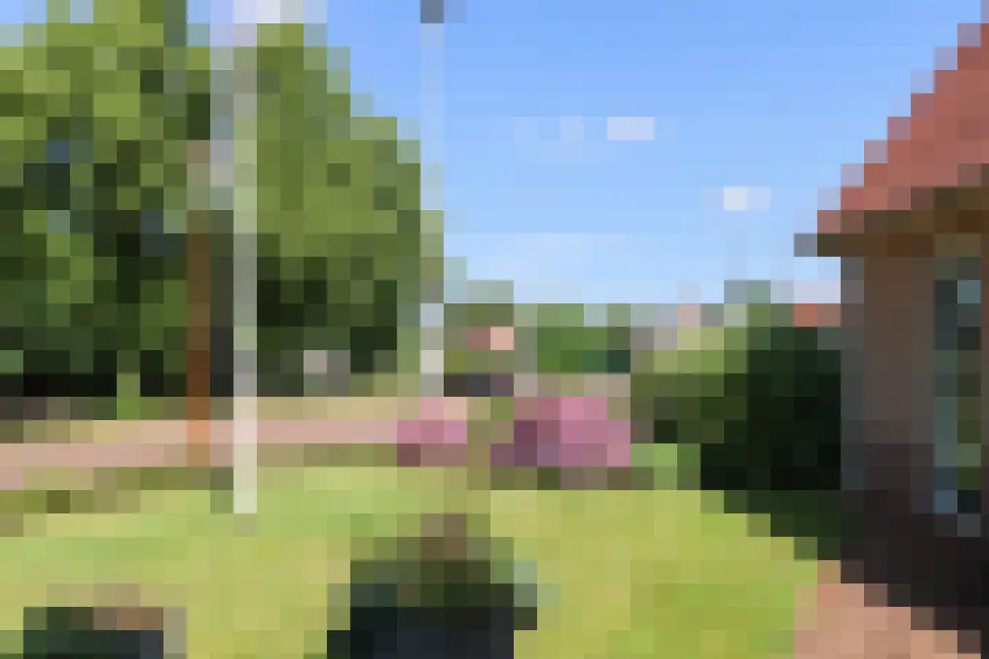 De Haven 8 Feanwâlden thumbnail 12