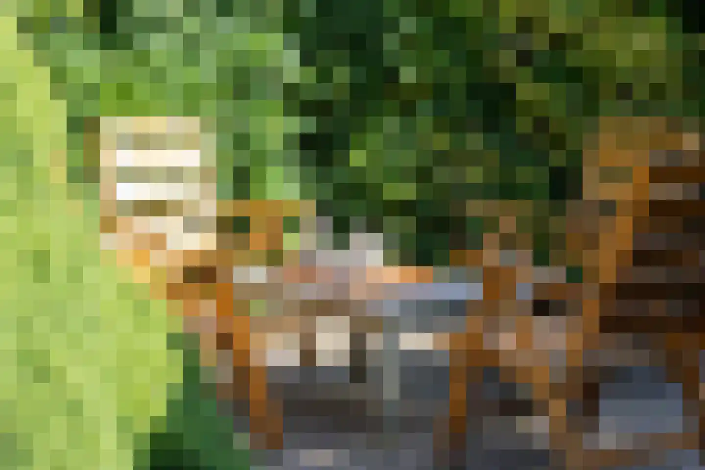 De Haven 8 Feanwâlden thumbnail 6