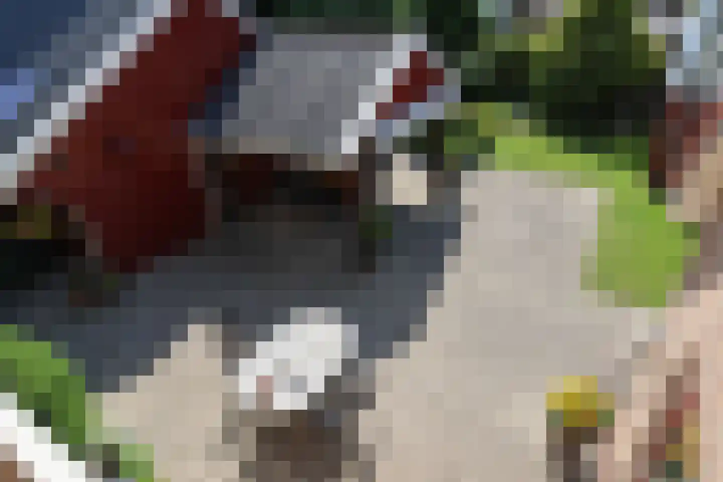 De Haven 8 Feanwâlden thumbnail 66