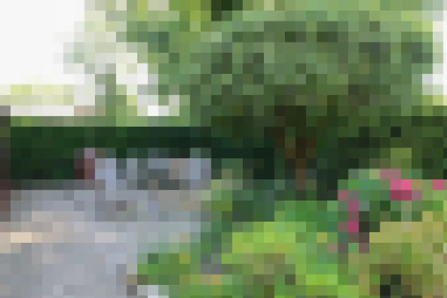 De Haven 8 Feanwâlden thumbnail 70