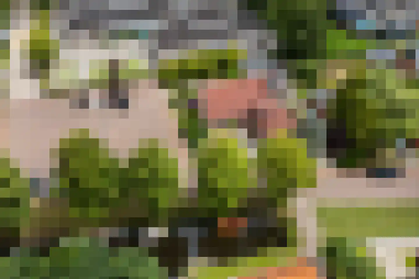De Haven 8 Feanwâlden thumbnail 85