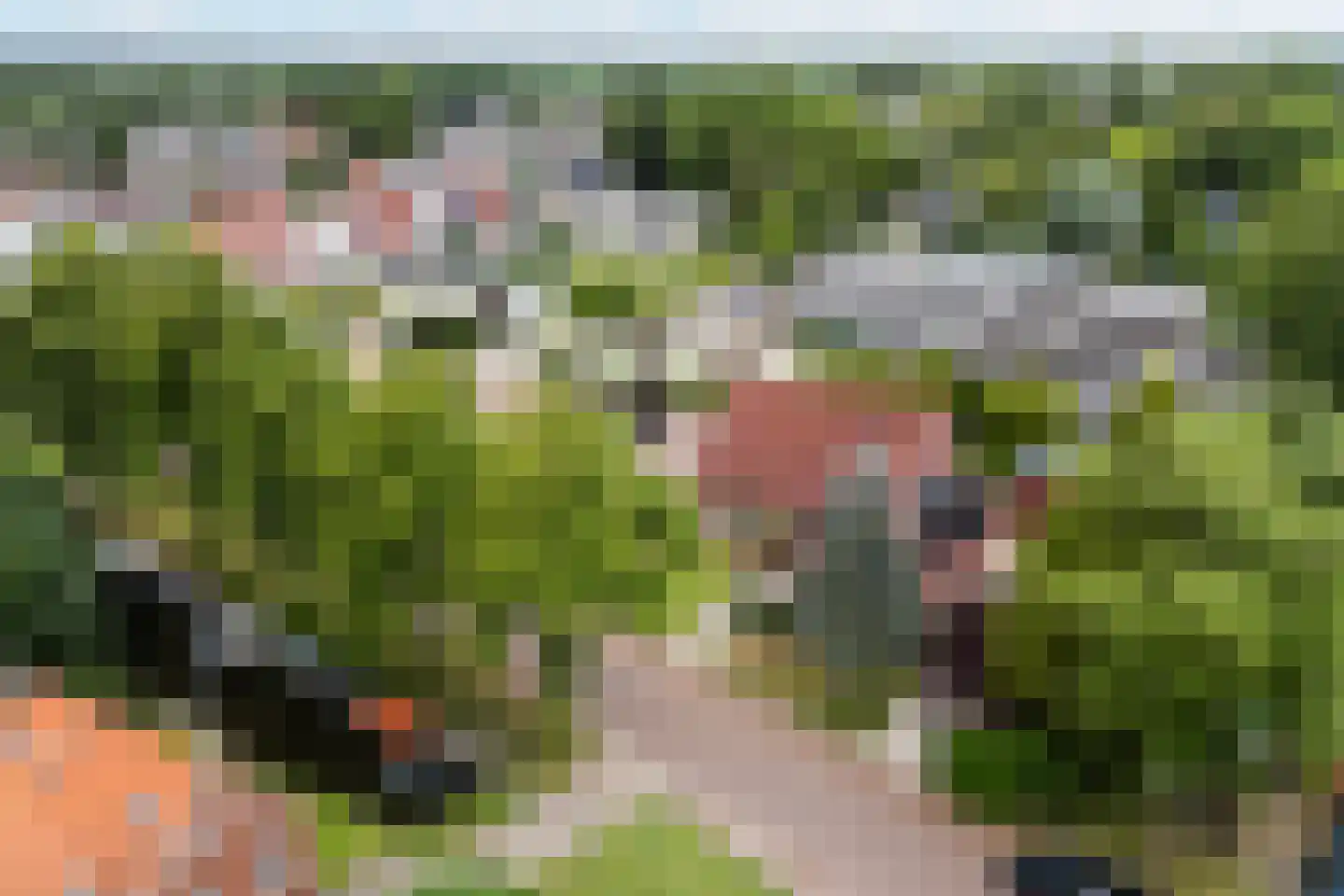 De Haven 8 Feanwâlden thumbnail 86