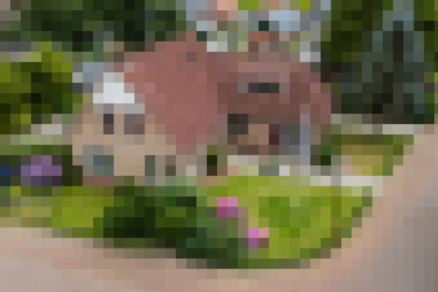 De Haven 8 Feanwâlden thumbnail 89