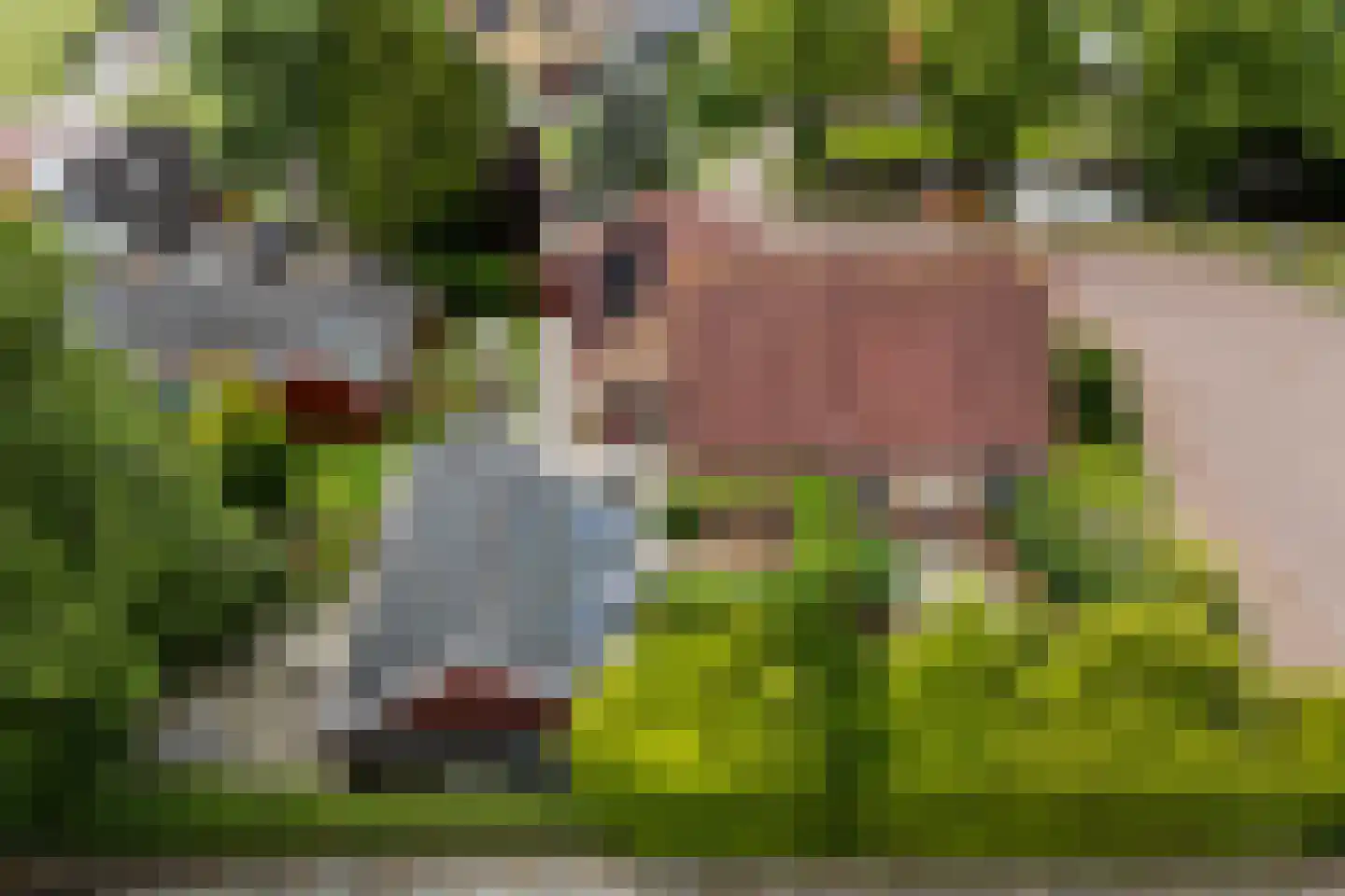 De Haven 8 Feanwâlden thumbnail 90