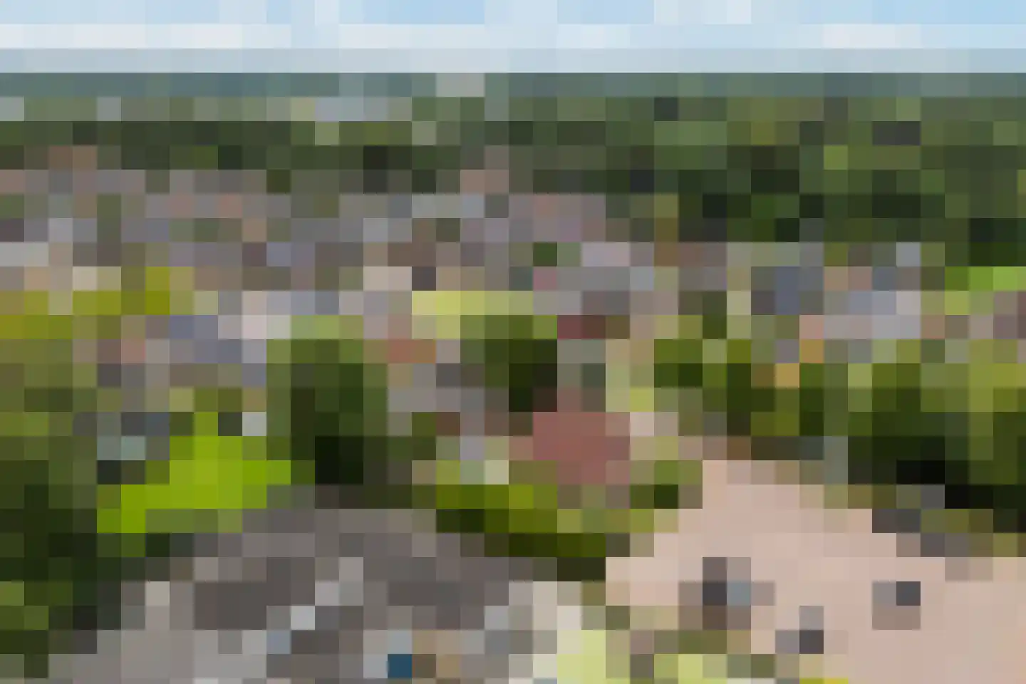 De Haven 8 Feanwâlden thumbnail 91