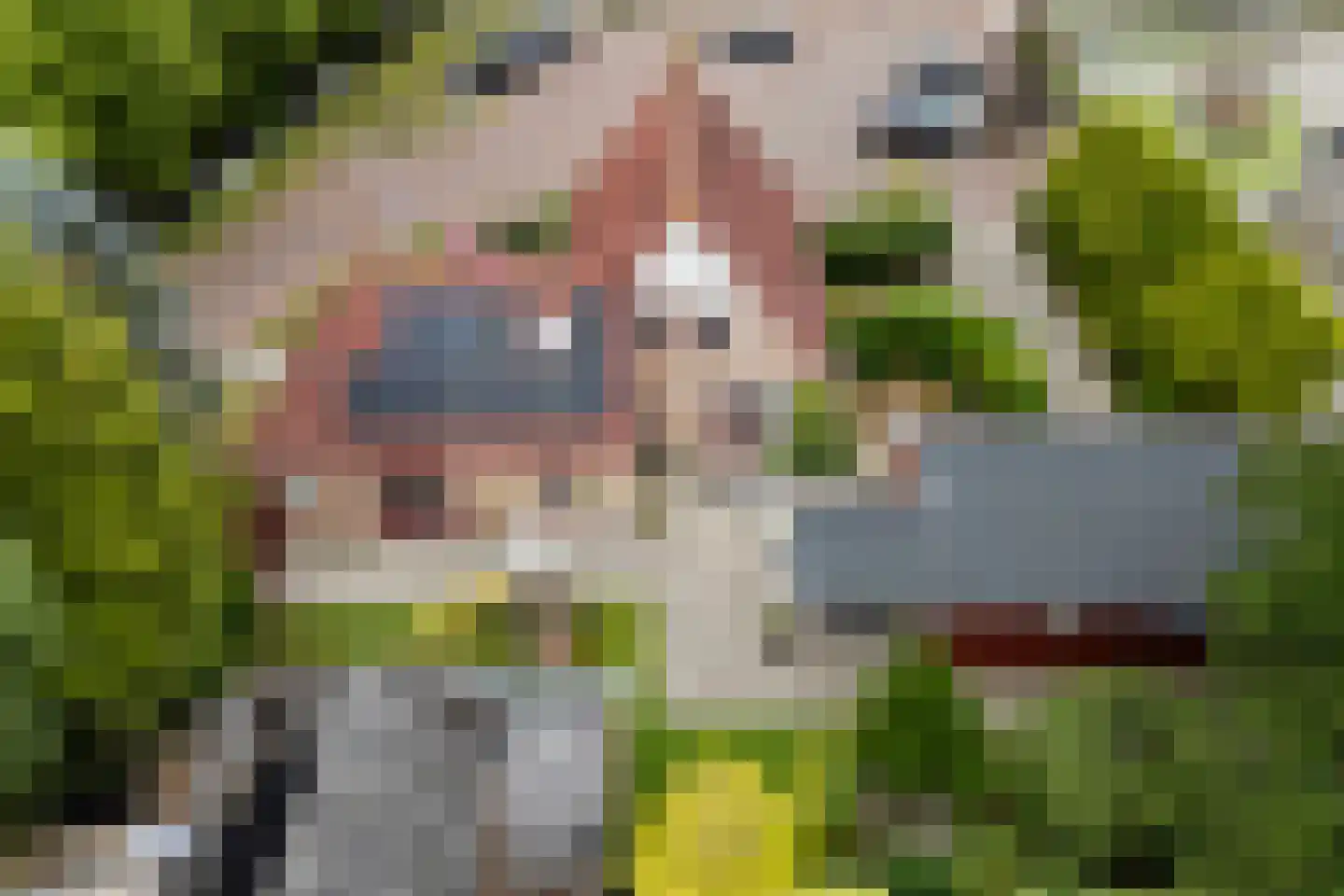 De Haven 8 Feanwâlden thumbnail 92