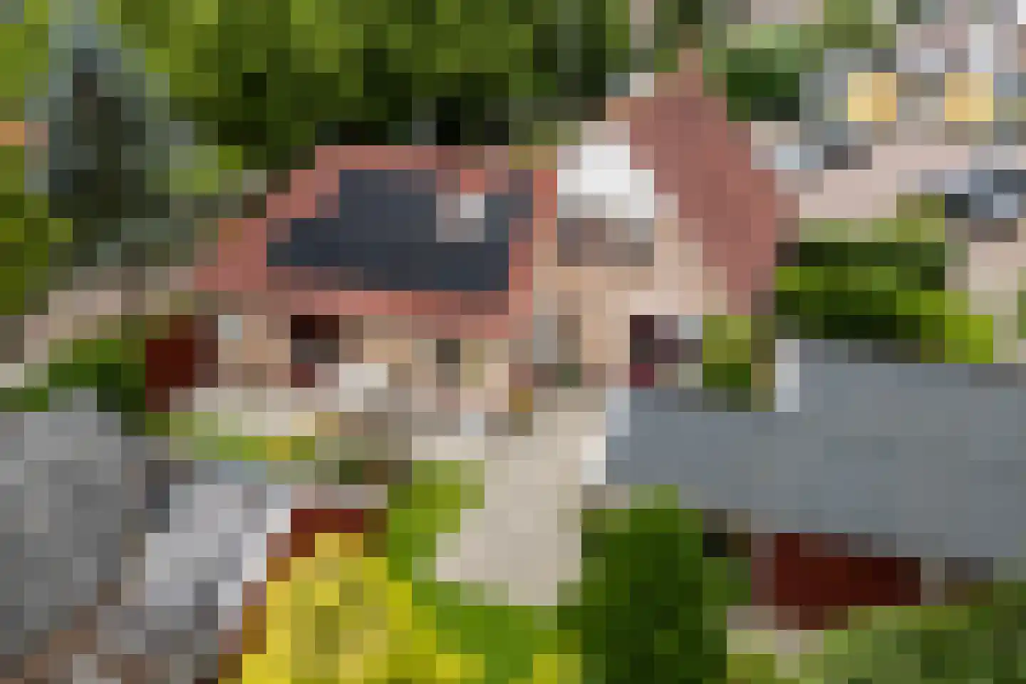 De Haven 8 Feanwâlden thumbnail 93
