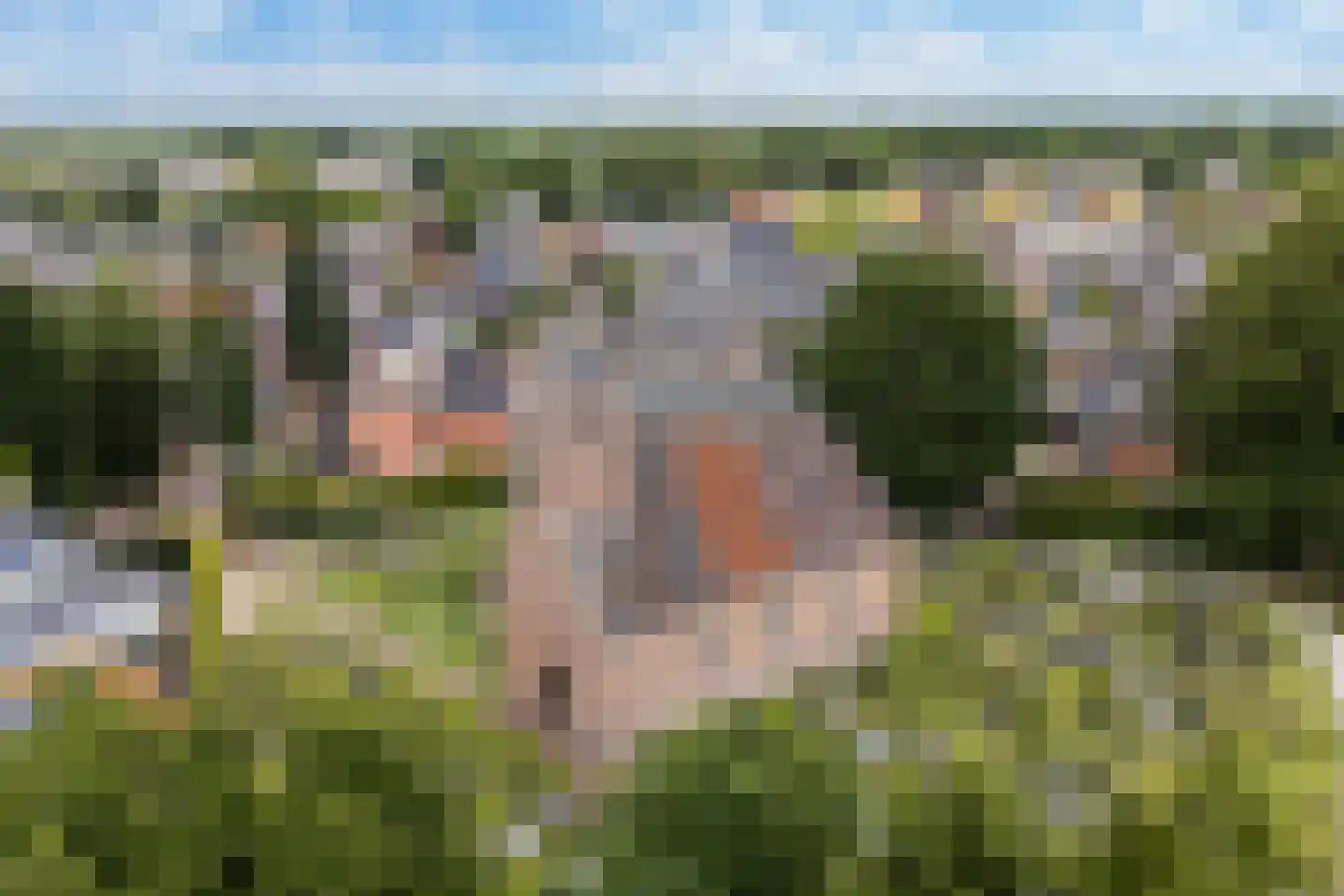 De Haven 8 Feanwâlden thumbnail 96