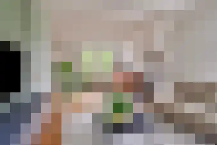 De Havens 1 Boazum thumbnail 14