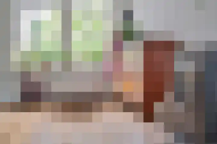 De Havens 1 Boazum thumbnail 15