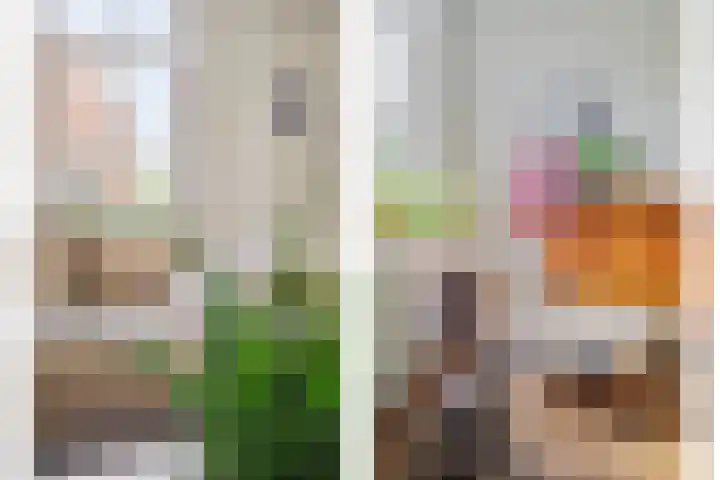 De Havens 1 Boazum thumbnail 16