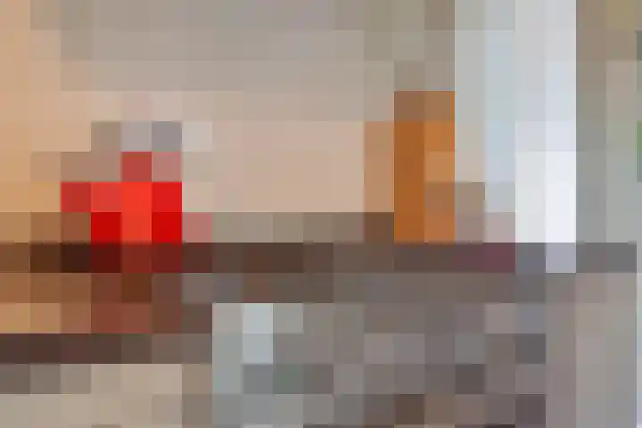 De Havens 1 Boazum thumbnail 24