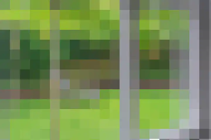 De Havens 1 Boazum thumbnail 31