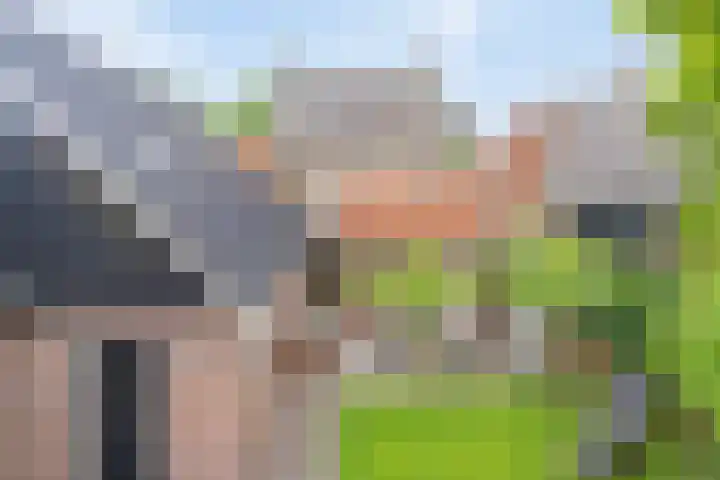 De Havens 1 Boazum thumbnail 4