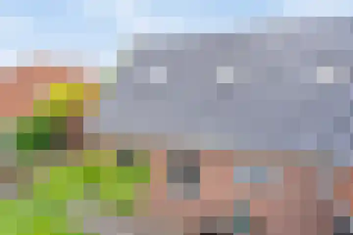 De Havens 1 Boazum thumbnail 55
