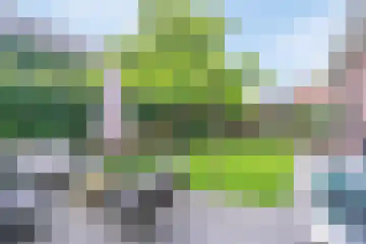 De Havens 1 Boazum thumbnail 56