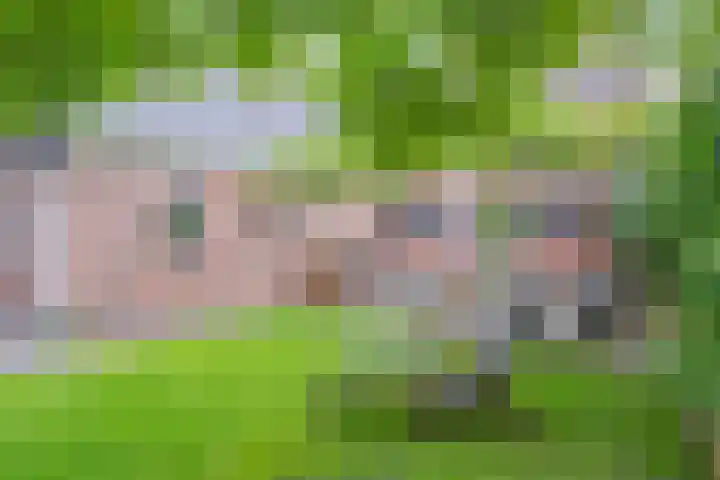 De Havens 1 Boazum thumbnail 57