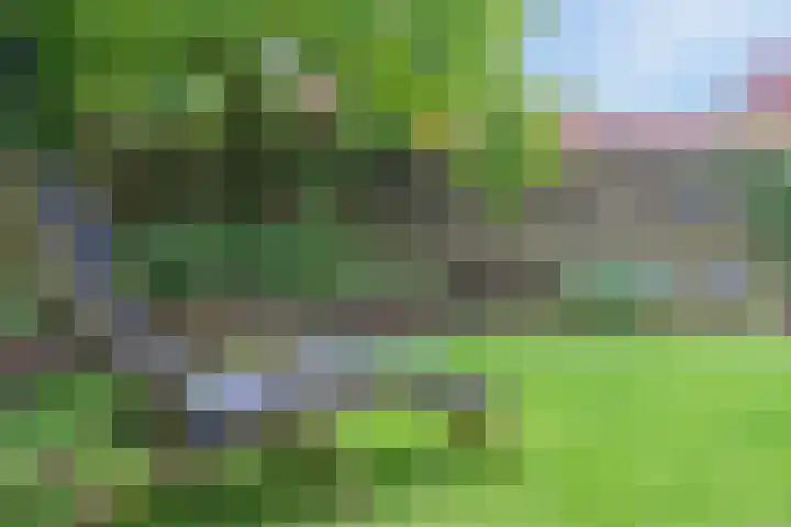 De Havens 1 Boazum thumbnail 59