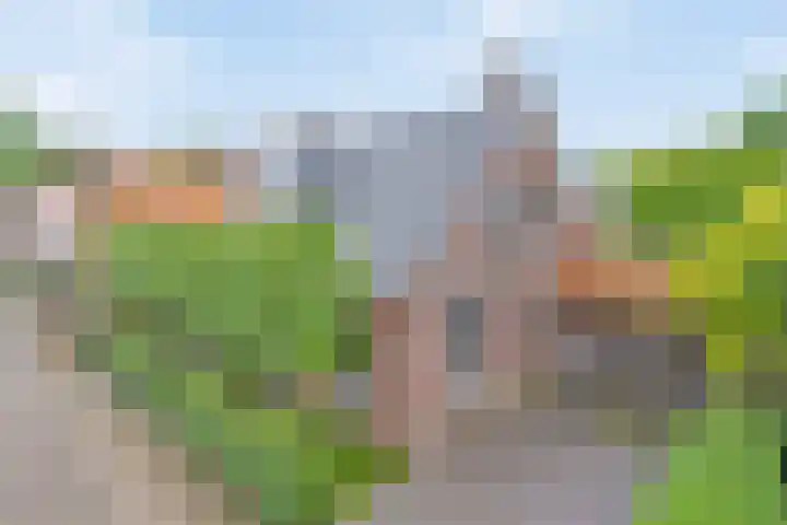 De Havens 1 Boazum thumbnail 6