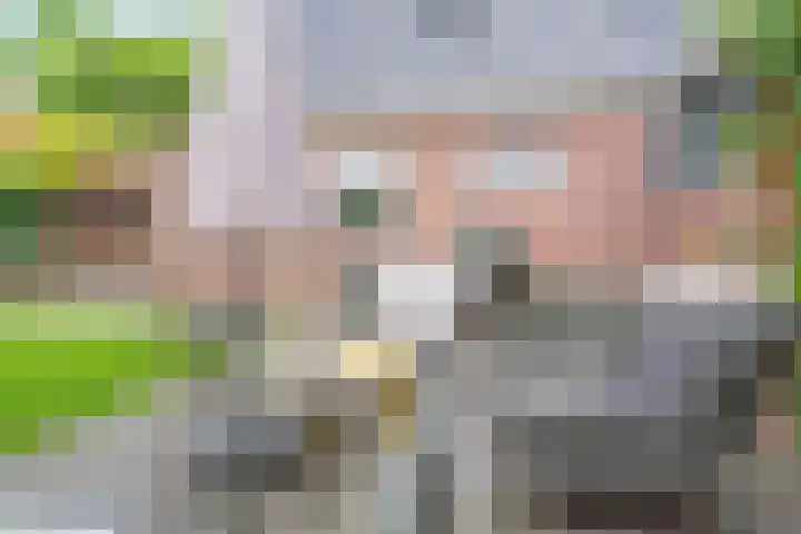 De Havens 1 Boazum thumbnail 60