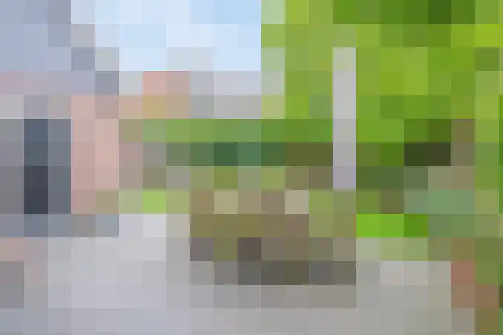 De Havens 1 Boazum thumbnail 63