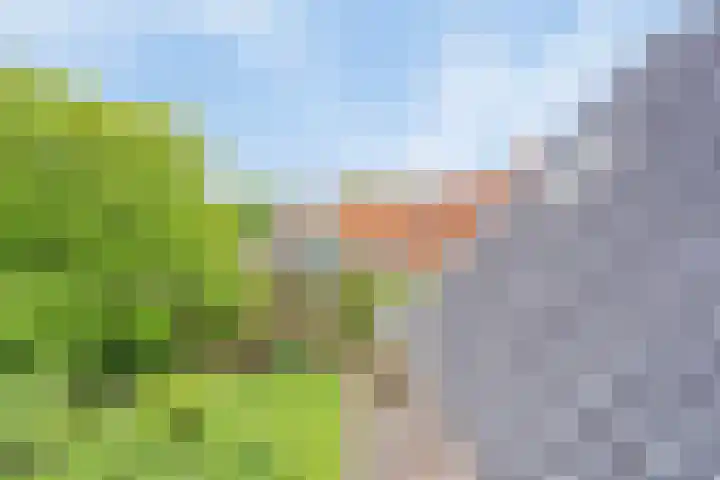 De Havens 1 Boazum thumbnail 64