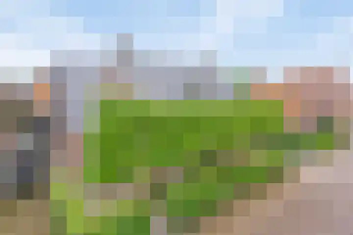 De Havens 1 Boazum thumbnail 68