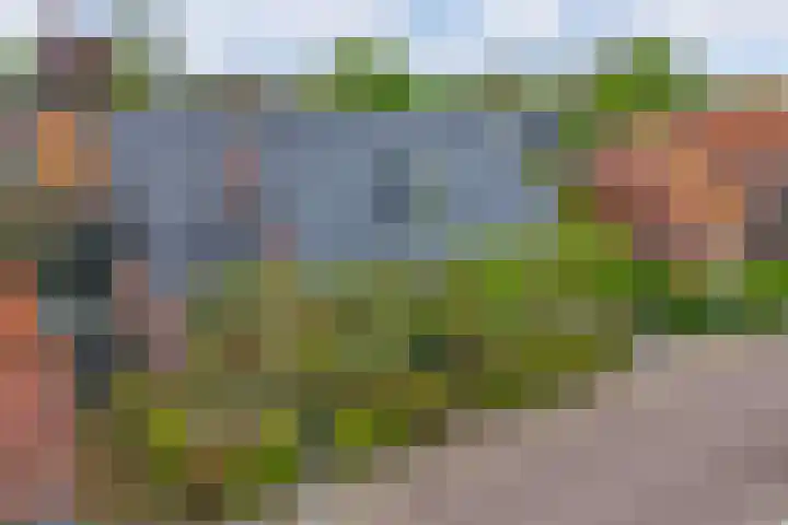 De Havens 1 Boazum thumbnail 69