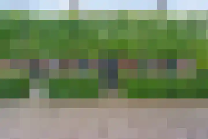 De Havens 1 Boazum thumbnail 7