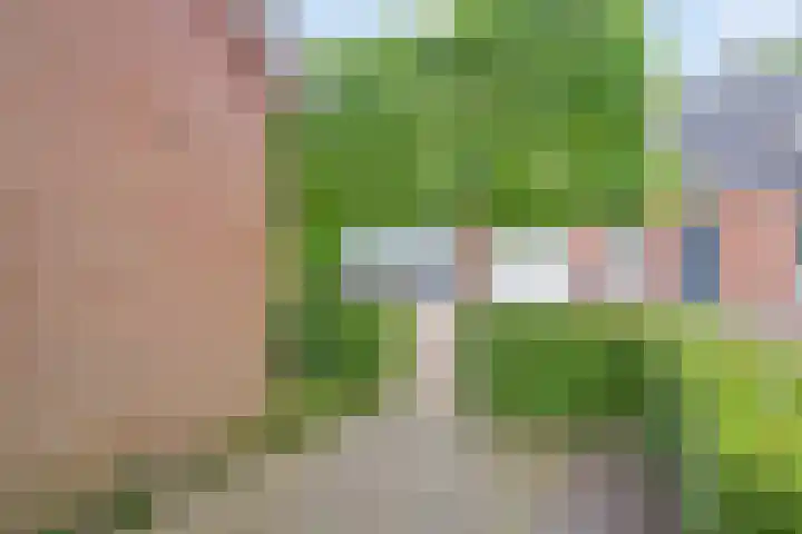 De Havens 1 Boazum thumbnail 71